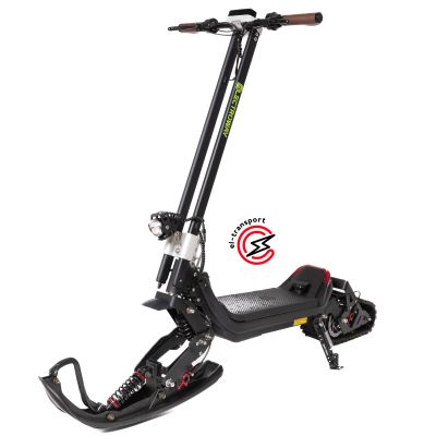 Зимний электросамокат ELECTROWAY T2S (20Ач) зима+лето