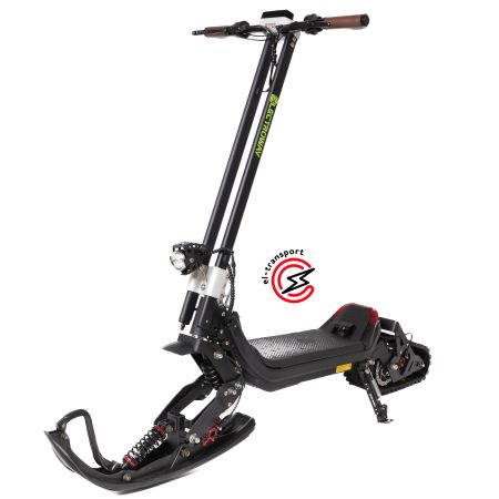 Зимний электросамокат ELECTROWAY T2S (20Ач)  зима+лето