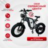 Электровелосипед Syccyba IMPULSE 20Ah на спицах