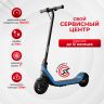 Электросамокат Ninebot Kick Scooter C2 Lite черный