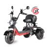 Электроскутер WHITE SIBERIA  TRIKE  MINI BLACK 