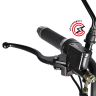 Электроскутер WHITE SIBERIA  TRIKE  MINI BLACK 