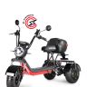 Электроскутер WHITE SIBERIA  TRIKE  MINI BLACK 