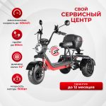 Электроскутер WHITE SIBERIA  TRIKE  MINI BLACK 