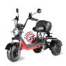 Электроскутер WHITE SIBERIA  TRIKE  MINI BLACK