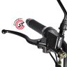 Электроскутер WHITE SIBERIA  TRIKE  MINI BLACK