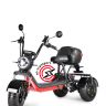 Электроскутер WHITE SIBERIA  TRIKE  MINI BLACK