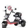Электроскутер WHITE SIBERIA PRO TRIKE