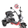 Электроскутер WHITE SIBERIA PRO TRIKE