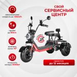 Электроскутер WHITE SIBERIA PRO TRIKE