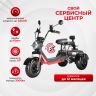 Электроскутер WHITE SIBERIA PRO TRIKE