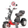 Электроскутер WHITE SIBERIA PRO TRIKE IKRA 