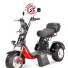 Электроскутер WHITE SIBERIA PRO TRIKE IKRA 
