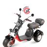 Электроскутер WHITE SIBERIA PRO TRIKE IKRA 