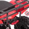 Детский электроквадроцикл WHITE SIBERIA SNEG MINI RED 