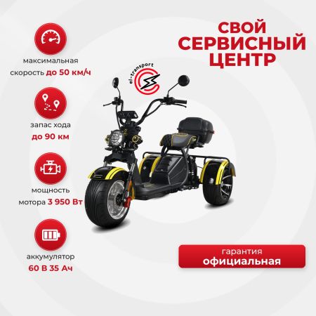 Электротрицикл SIBERTON PRO TRIKE MAX 3950W