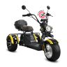 Электротрицикл SIBERTON PRO TRIKE MAX 3950W