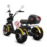 Электротрицикл SIBERTON PRO TRIKE MAX 3950W