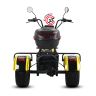 Электротрицикл SIBERTON PRO TRIKE MAX 3950W