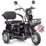 Электротрицикл Rutrike Gelbert Vega