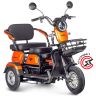Электротрицикл Rutrike Gelbert Vega