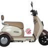 Электротрицикл Rutrike Gelbert Ogma
