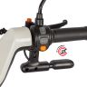 Электротрицикл Rutrike Gelbert Ogma