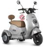 Электротрицикл Rutrike Gelbert Ogma