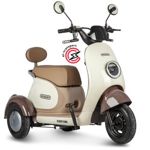 Электротрицикл Rutrike Gelbert Ogma