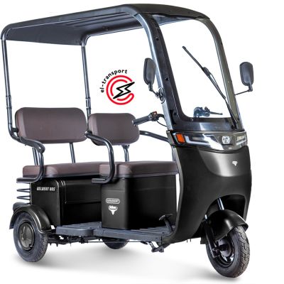 Электротрицикл Rutrike Gelbert Sun