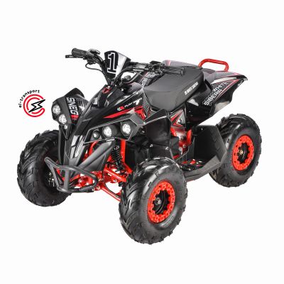 Детский электроквадроцикл  WHITE SIBERIA SNEG PRO R 3000W