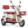 Электротрицикл Rutrike Gelbert Mercury