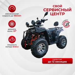 Квадроцикл Kugoo K4 Pro