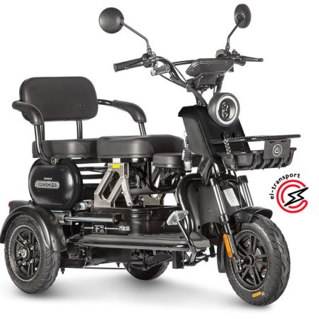 Электротрицикл Wanshida UN MOTO 60V 650Вт 