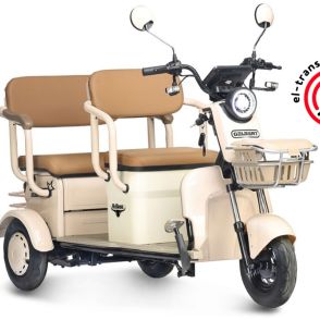 Электротрицикл Rutrike Gelbert Atlas