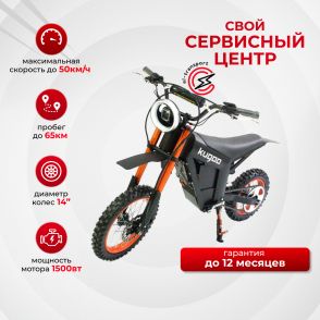 Электроскутер (питбайк) KUGOO WISH 01