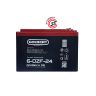 Аккумулятор тяговый Gelbert 6-DZF-24 (12V24A/H C3)