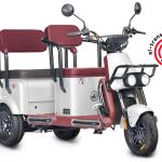 Электротрицикл Wanshida U1-X 