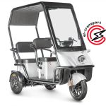 Электротрицикл Wanshida NIPLA 500