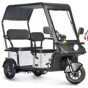 Электротрицикл Wanshida NIPLA 570