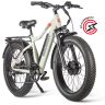 Электровелосипед Gelbert Pegas 3 DUAL PRO