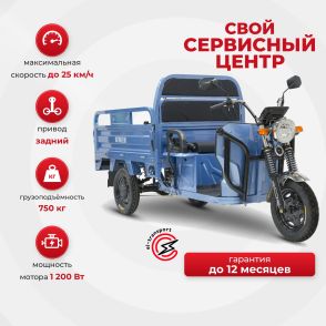 Грузовой электротрицикл Rutrike Вектор 1500 60V1200W