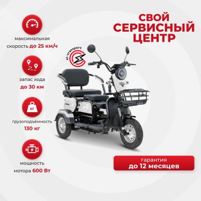 Электротрицикл Rutrike Бумеранг