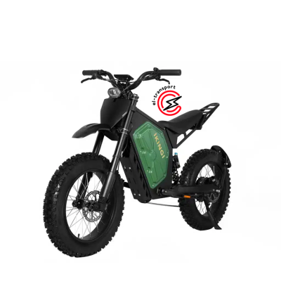 Электровелосипед Ikingi EBA S9